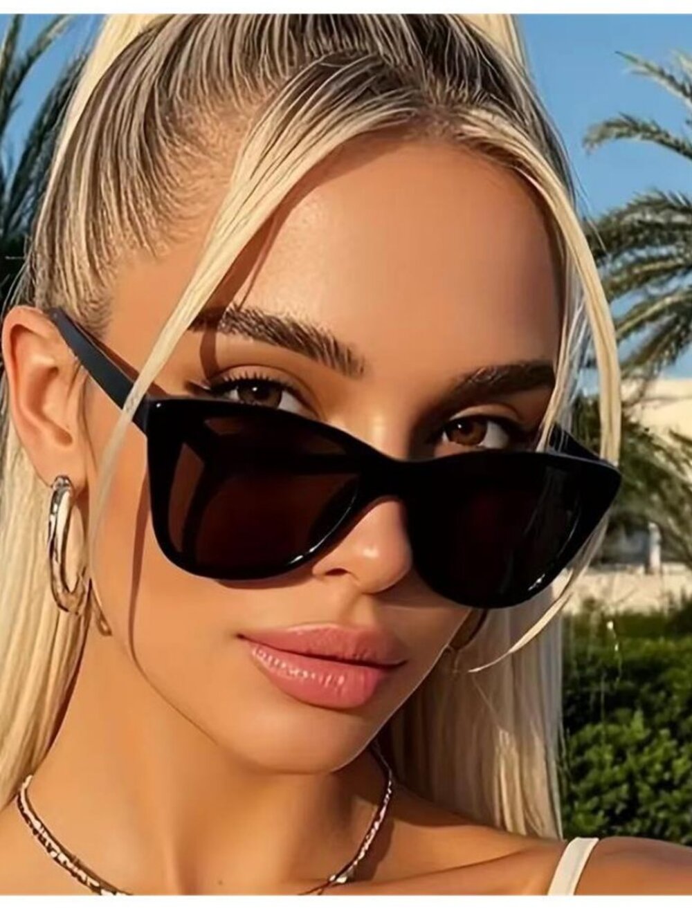 Classic  Cat Eye Frame SunGlasses